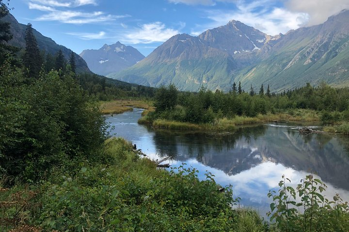 Summer Valley and Forest Hike - Photo 1 of 11